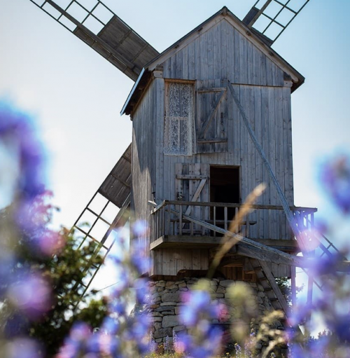 MTÜ Ohessaare Pangaküla